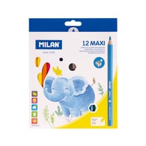 Boîte 12 crayons de couleur MAXI hexagonaux + taille-crayons