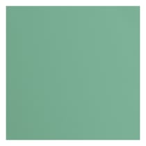 Papier cartonné texturé Florence - Iguana - 20 feuilles - 30,5 x 30,5 cm - 216 g/m²