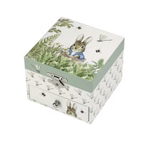Boite a Musique Cube Peter Rabbit - Trousselier - Vert