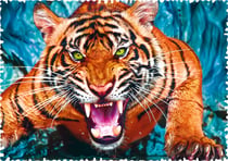 Puzzle 600 pièces - Crazy Shapes - Facing a tiger - Trefl