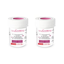 Colorant alimentaire en poudre 10 g - pourpre