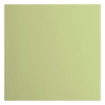 Papier cartonné Florence - Lisse - 20 feuilles - Anise - 30,5 x 30,5 cm - 216 g/m²