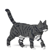 Chat Tigré gris foncé | JEKCA | 14 ans et +