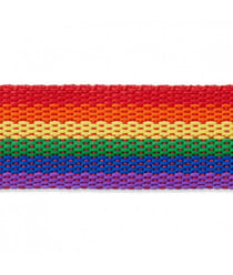 Sangle en polyester pour sac ou ceinture 30mm - Prym Multicolore