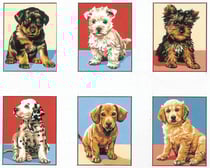 Kit Série Chiots 20x25 6 modèles