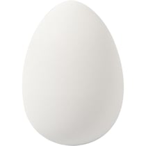 Oeufs d'oie en plastique à suspendre - Blanc - 8 x 5,5 cm - 8 pcs