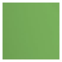 Papier cartonné texturé Florence - Tous niveaux - 20 feuilles - Moss - 30,5 x 30,5 cm - 216 g/m²