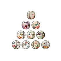 10 cabochons rond en verre assorties 25 mm MONUMENT FLEUR PAPILLON