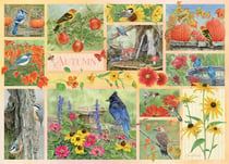 Puzzle 500 pièces - Oiseaux de Jardin en Automne - Cobble Hill