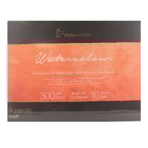 Bloc aquarelle Watercolour 300g/m2 10feuilles grain torchon 36x48cm - Hahnemühle