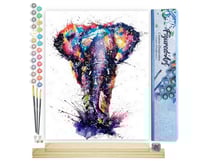 Peinture par Numéro Figured'Art - Eléphant d'Asie en peinture - Kit de Loisir Créatif DIY Numéro d'Art Complet - 40x50cm toile roulée + châssis en bois à monter