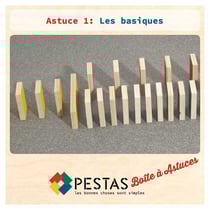 Set de 24 fiches pour Modeles domino PESTAS
