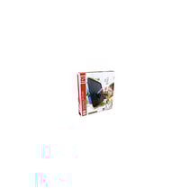 Studio Artistique Multifonctions - Hape - Rouge