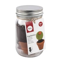 Kit: Cactus boule, 4,5cm 9cm, verre 1pce.