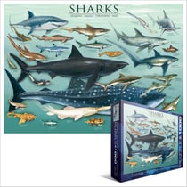 Puzzle 1000 pièces - Requins - Eurographics