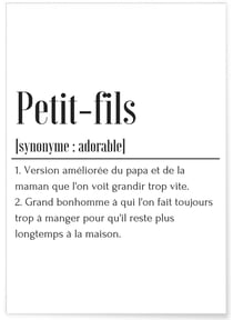 Affiche Définition Petit-fils | A3 : 29,7x42cm