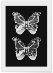 Poster Papillons 2 | A3 : 29,7x42cm