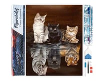 Diamond Painting Broderie Diamant Figured’Art 40x50cm toile entière roulée avec diamants carrés - Reflets Chatons