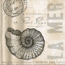 Graine Créative - Serviette La mer 20 pièces