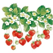 4 serviettes en papier découpage collage 33 cm FRAISE D ETE FR 103
