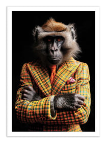 Affiche 50 x 70 cm -  Baboon Wild Suits - Philippe Hugonnard
