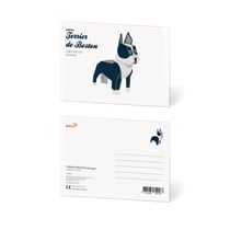 CARTE POSTALE BOSTON TERRIER