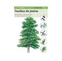 Miniguide 60 - Feuillus de plaine
