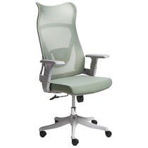 Chaise de Bureau Verte en Maille Base Pivotante Hauteur Réglable Accoudoirs Bureau à Domicile Moderne