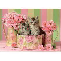 Puzzle 2 chatons dans une boite et des bouquets de roses 500 pieces - collection animaux - educa - 17960