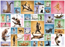 Puzzle 1000 pièces - Yoga Cats - Eurographics