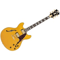 Excel DC Amber D'Angelico