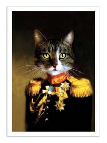 Affiche 50 x 70 cm -  Anonymous - Tein Lucasson
