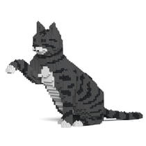 Chat Tigré gris foncé qui donne la patte | JEKCA | 14 ans et +