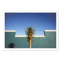 Affiche 50x70 cm - the desert blooms - Linda Wride