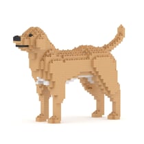 Chien Labrador Retriever beige Taille standard | JEKCA | 14 ans et +