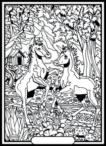 Tableau velours a colorier Deux Poulains Sericolor