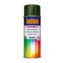Spray de peinture Belton Spectral RAL 6003 vert olive 400ml