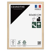 Cadre photo Newton bois noir 60x80 cm