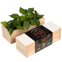 Resetea - Kit d'Auto-culture Épices - Piment, habanero et jalapeño