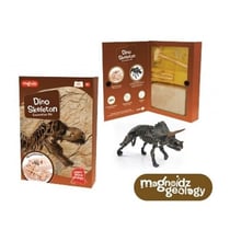 Magnoidz Dino Skeleton Kit excavation squellette Dinosaure - Keycraft - Marron