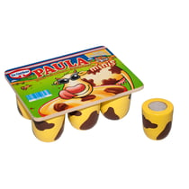 Set Mini Yogourt Paula Dr. Oetker