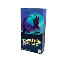 Esprit es-tu là ? - Topi Games