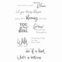 Tampons transparents - Textes anglais fleur - 10 clear stamps - Sizzix