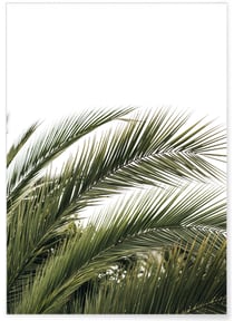 Poster Nature verte n°3 | A3 : 29,7x42cm