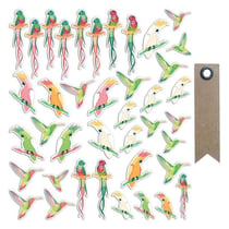 40 formes découpées Oiseaux tropicaux + 20 étiquettes kraft Fanion