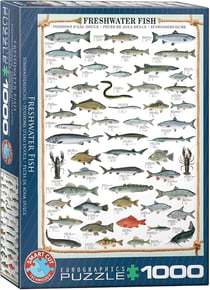 Puzzle 1000 pièces - Les poissons - Eurographics