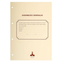 Recharge 297X210 Assemblées générales , Conseil d'administration 100 feuillets foliotés 90g + gardes - Blanc - Le Dauphin