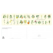 Longue vue editions - Plantes à parfums de France - Carte double