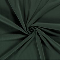 Tissu Polaire des Alpes uni Vert foncé