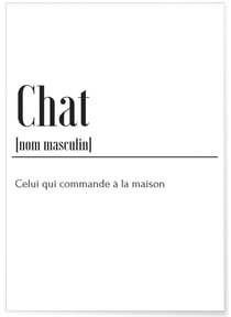 Poster Définition Chat | A3 : 29,7x42cm